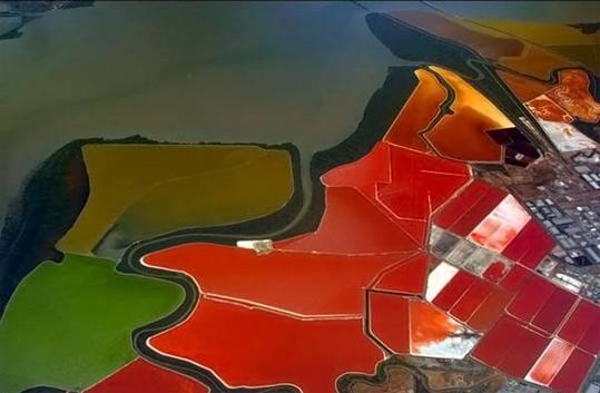 colored-salt-ponds-01