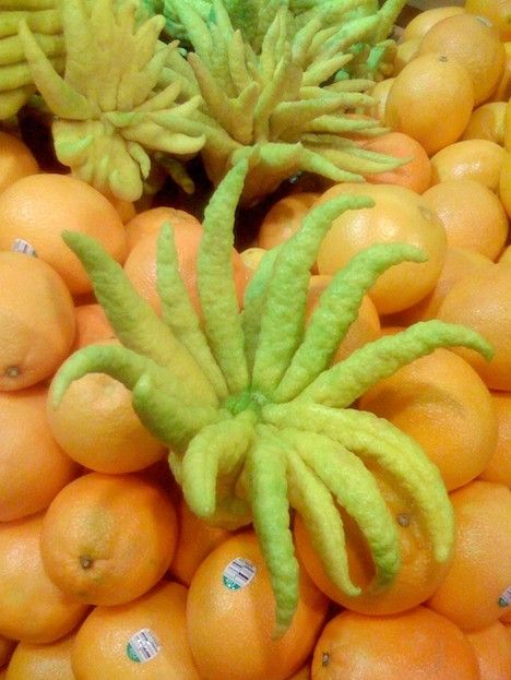 amazing_fruits_3x