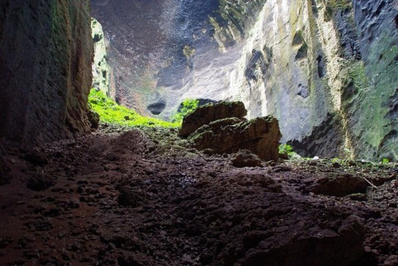 恐怖の洞窟と呼ばれるそのワケは？ボルネオ島、ゴマントン洞窟（大量発生閲覧注意）