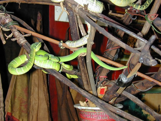 Snake-Temple-Penang3