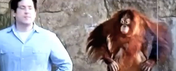 人間の動きを模倣するまねっこオランウータン。でもそれだけはマネできなかったようだ。