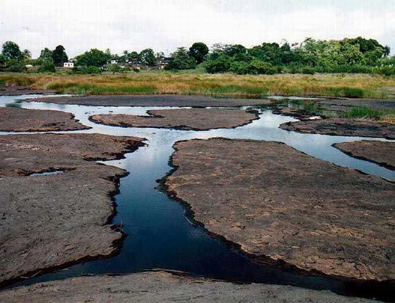the_well_known_01