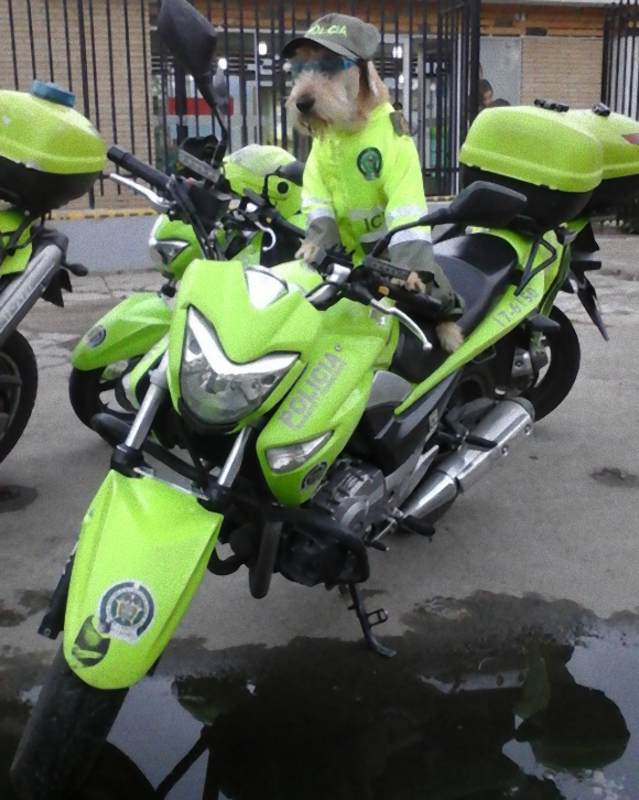 police6_e