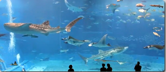 水族館
