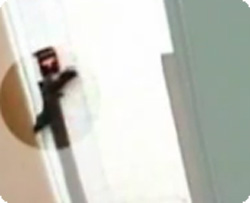 何目的？どんな野望？学校の火災報知機のスイッチを押すリスの姿が監視カメラにとらえられる