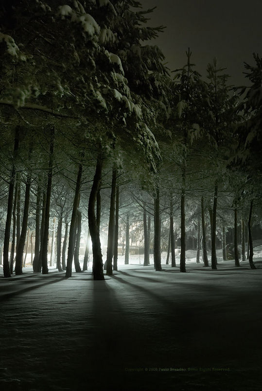 cool_pics013