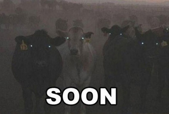 soon_08