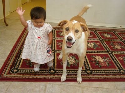 kids-and-animals-23