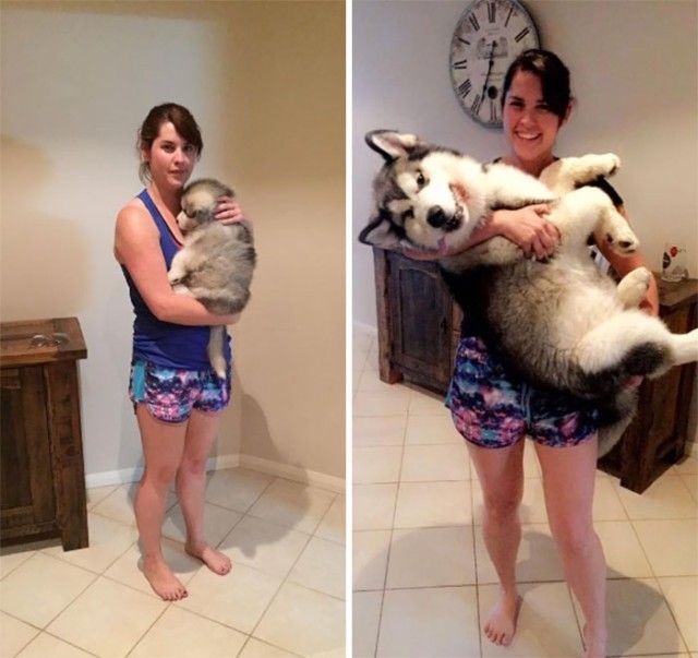 beforeafter9_e
