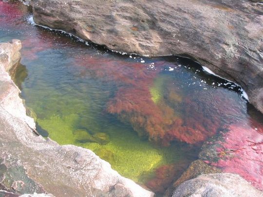 rainbow_river_09