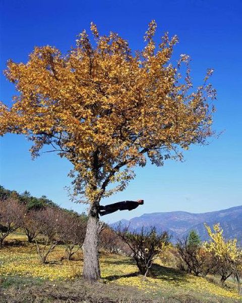 stunning_photographs_by_philippe_ramette_03