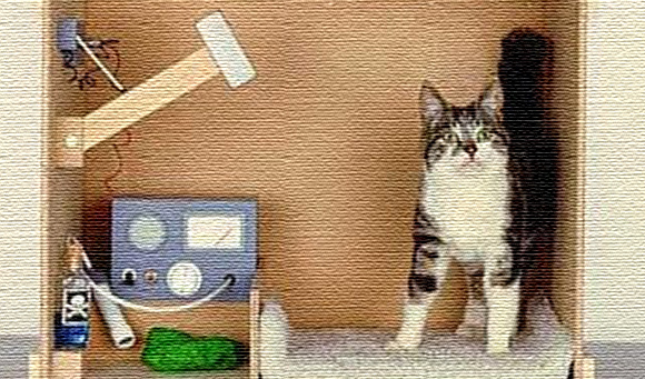 物理学「量子もつれ効果」でシュレーディンガーの猫の撮影に成功（オーストリア研究）