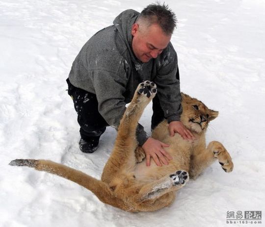lion_and_man_07