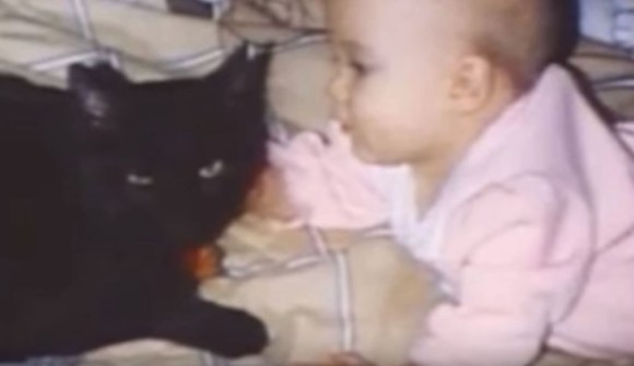 赤ちゃんを亡くしたばかりの夫婦の元に突然現れた黒猫。この黒猫が新たに生まれた赤ちゃんの命を救う（アメリカ）
