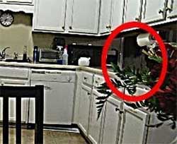 海外で人気の心霊映像「REAL ghost girl caught on video」より人気映像ベスト5