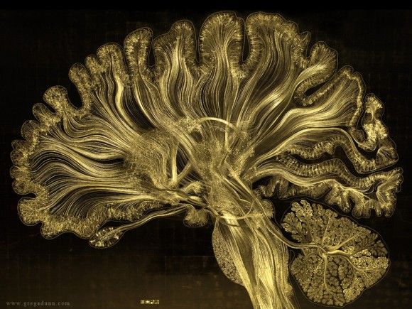 金箔で表現した脳内のニューロンマッピング映像