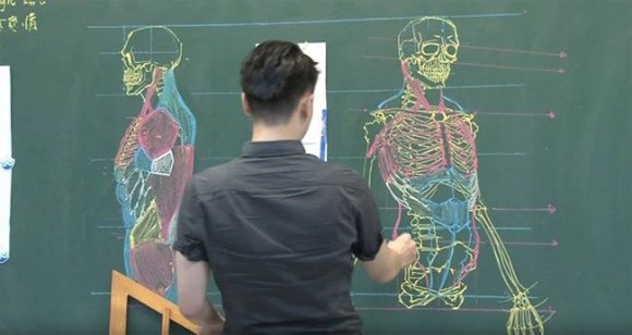 美術解剖学の先生のチョークスキルがあまりにも高かった。黒板にチョークで描いた人体解剖図がハイクオリティ