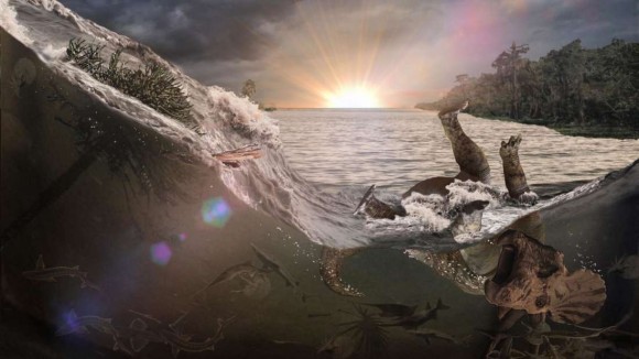 恐竜絶滅の謎を解くカギとなるかもしれない、隕石衝突時期の化石が発見される（米研究）