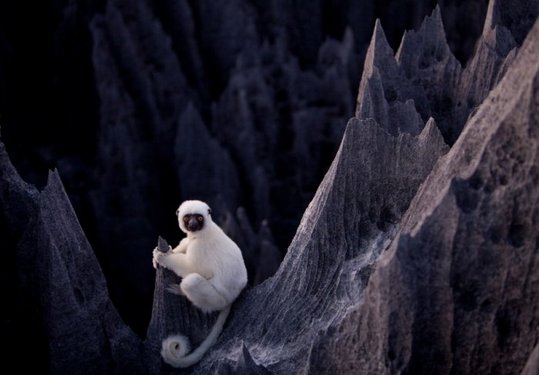 Madagascar_09