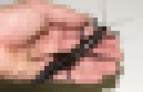 c31d963b