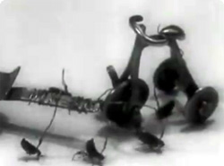 【動画】これがノミのサーカスだ！リアルなノミがサーカスをする1949年の貴重な映像