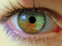 憧れの「青い目」が簡単なレーザー手術で手に入る時代に（アメリカ）