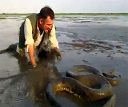 巨大ヘビを捕らえようと果敢に挑んでいった所急所を攻撃されたでござる