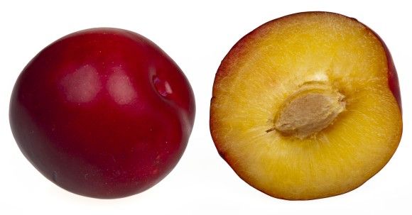 2Red-Plums_e