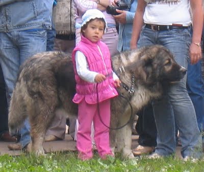kids-and-animals-05