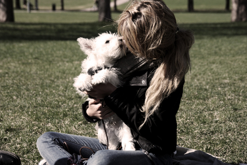 tumblr_l2ci7yUmKc1qb31i6o1_500