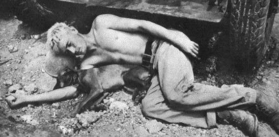 戦場にいる兵士たちの心を溶かす動物たち