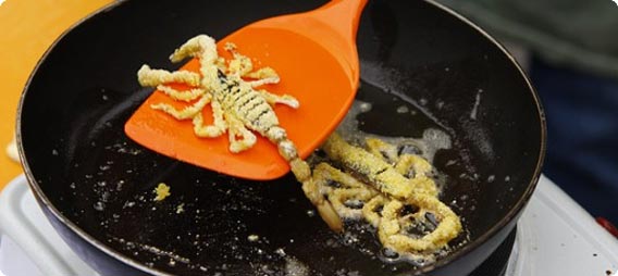 美人のお姉さんが推奨する昆虫食のすすめ。その調理と試食映像