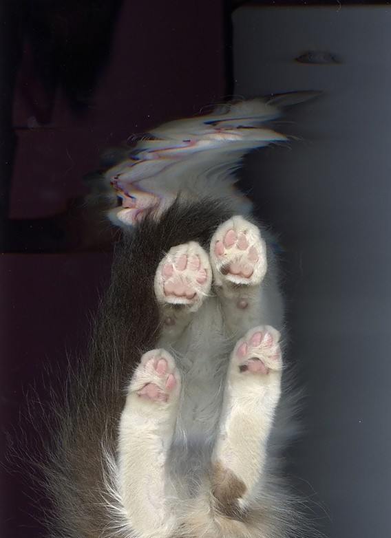 11_e
