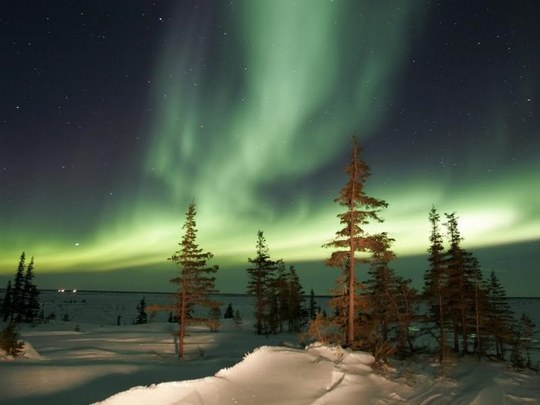 aurora borealis (4)