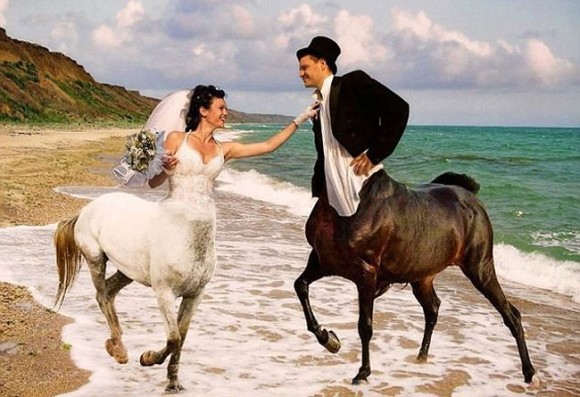 wedding6_e