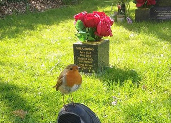 息子を亡くし、その墓の前で悲しみにくれていた母親の前に1羽の鳥が現れた。その鳥は彼女の悲しみをすべて運び去っていった。