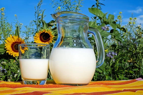 milk-2474993_640_e