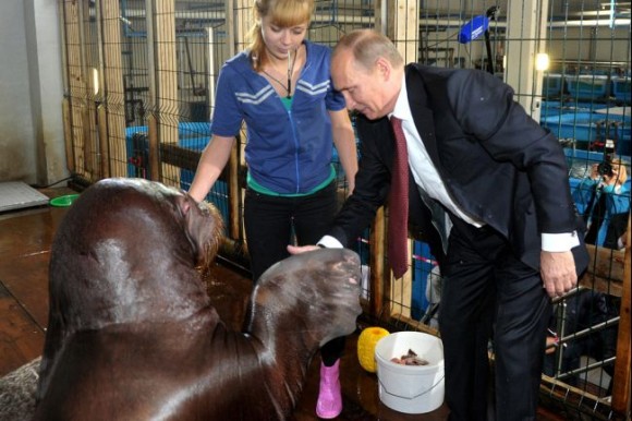 セイウチとプーチン大統領