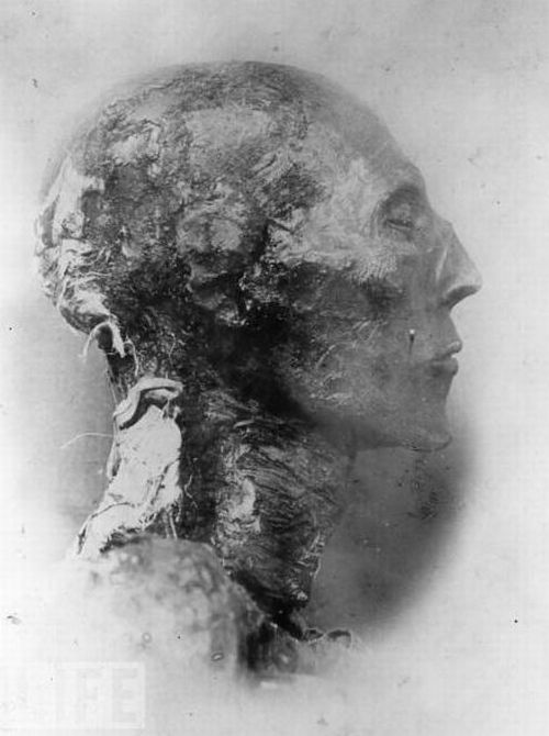 amazing_mummies_17