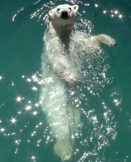 beautiful_award_winning_photos_21
