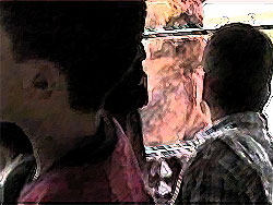 サファリパークを運行中のバスの窓から覗く幽霊