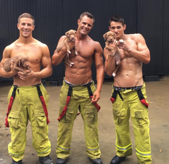 肉弾マッチョで子犬や子猫を包み込む。オーストラリア消防士たちが動物たちを救うため一肌脱いだ。