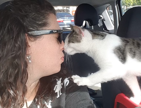 殺処分寸前で助け出された猫、移動中の車内で見せるありったけのゴロニャ～ゴ（オーストラリア）