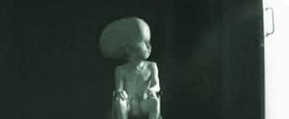 鬼才、クリス・カニンガムが地下室に閉じ込められていたミュータントに命を吹き込む実験的映像作品「Rubber Johnny（ラバー・ジョニー）」