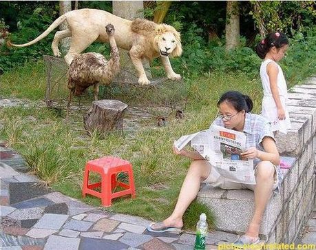 wtf_pictures_65