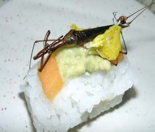 sushi_04