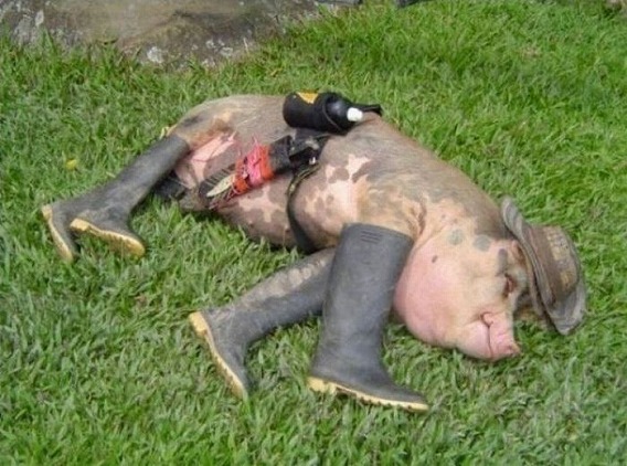 meanwhile_in_south_america_38