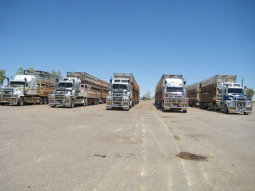 4054628393_7f7651fbd2