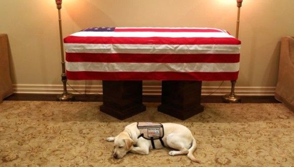 ジョージ・ブッシュ元大統領の棺の前に寄り添うように横たわる介助犬の姿が全米の涙を誘う