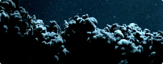 未知なる感覚が味わえる映像「IMMERSE（浸す）」